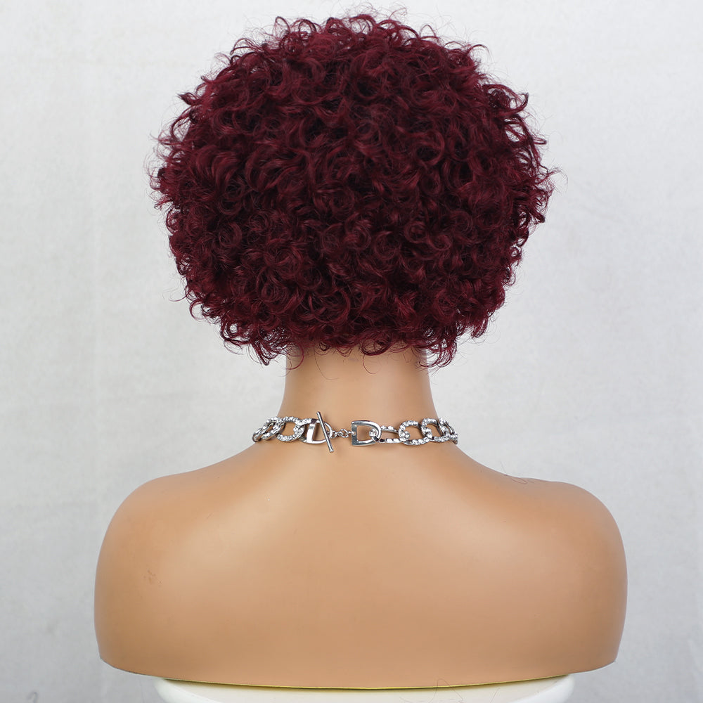 Ladies' Fashion Short Full Lace Wig 1024121304