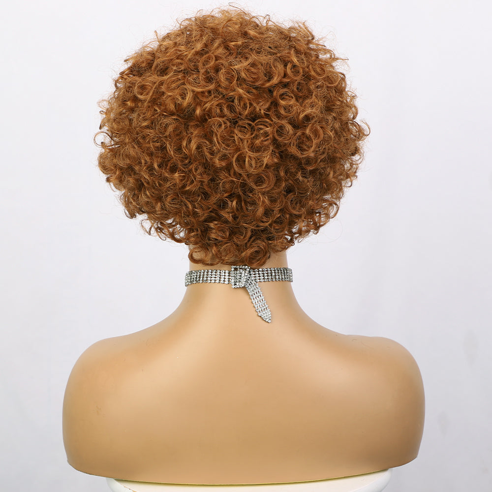 Ladies' Fashion Short Full Lace Wig 1024121304