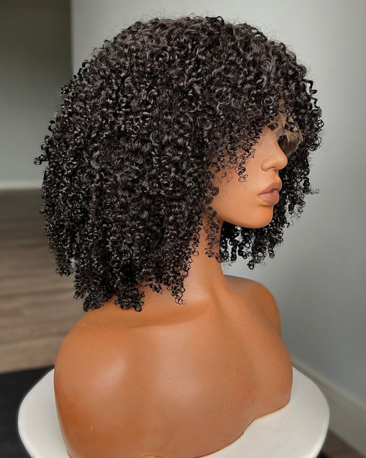 Human Hair Afro Curly 13x4 Lace Front Wig