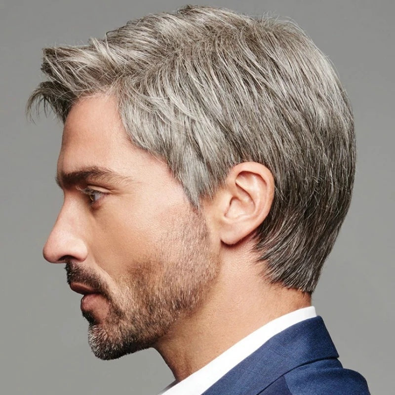 Men's Wigs 1924121204